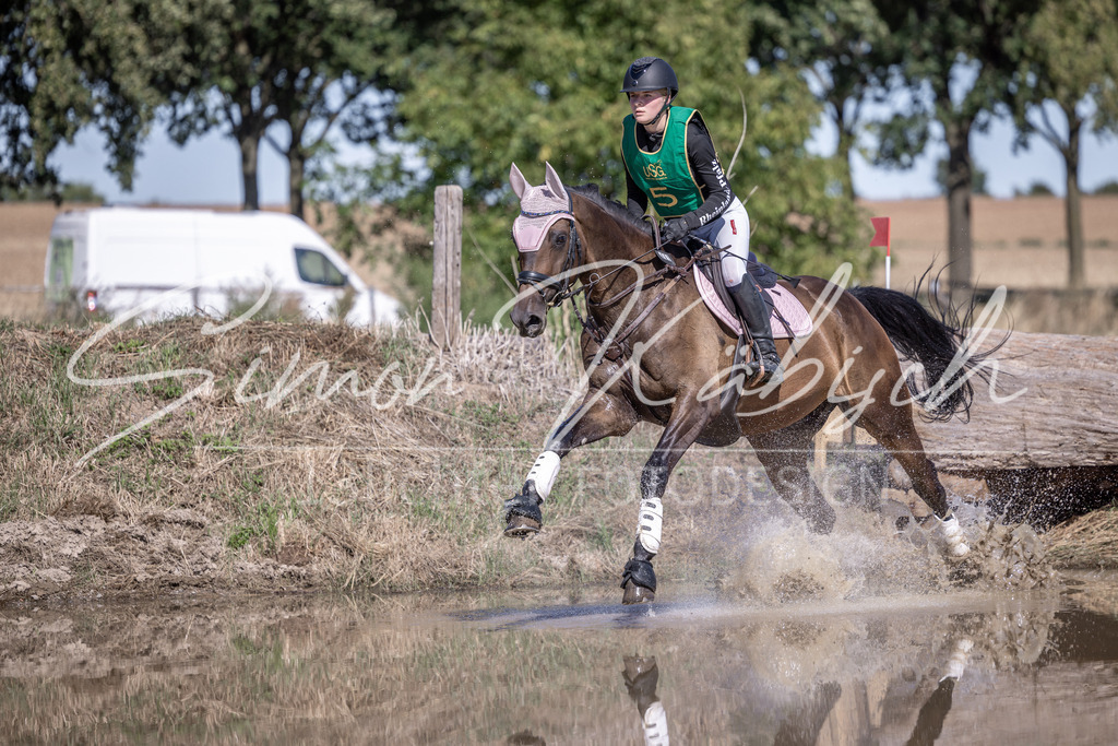 20260906-_3LI5298 | Tierfotografie Pferde, Hunde, Katzen, Haustiere.
Turnierfotografie Reitturniere, Reiten, Springreiten, Dressur in Hanau, dem Main-Kinzig-Kreis und dem Rhein-Main- Gebiet um Frankfurt