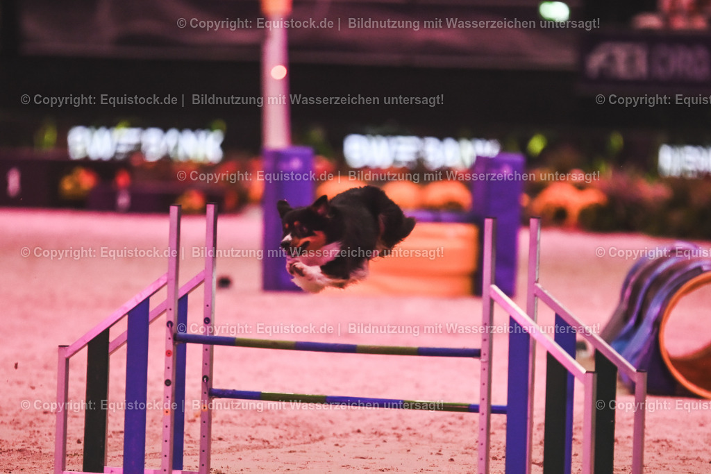 20241113_Showabend_TOMsPiC_0507 | Foto: Thomas Hartig