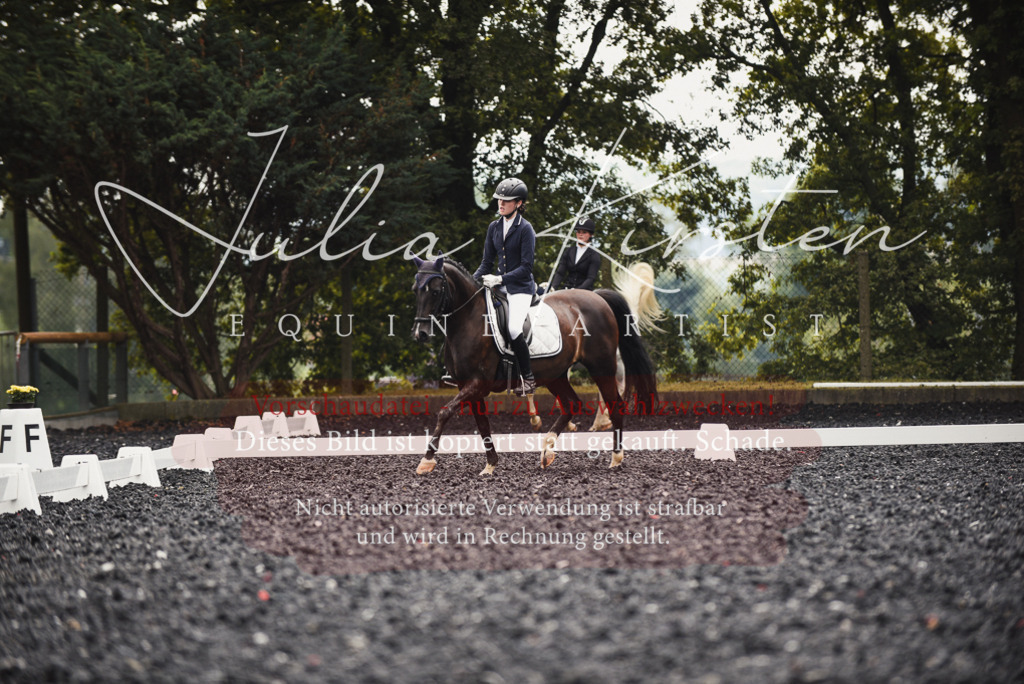 DSC_3928 | Pferde- und Turnierfotografie in Westsachsen. Pferdeportraits, Auftragszeichnungen und intuitive Kunst.