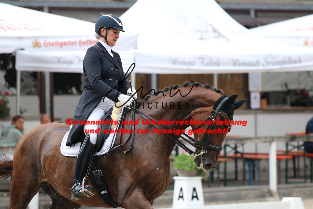 IMG_6585 | lmwpictures - Realisiert mit Pictrs.com