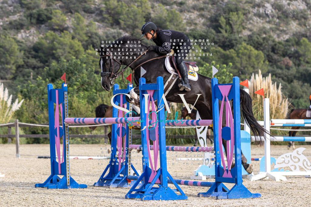 IMG_4521 | s-jay-photography - Realisiert mit Pictrs.com