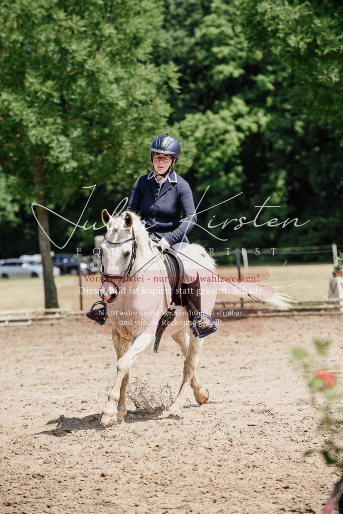 DSC_1831 | Pferde- und Turnierfotografie in Westsachsen. Pferdeportraits, Auftragszeichnungen und intuitive Kunst.