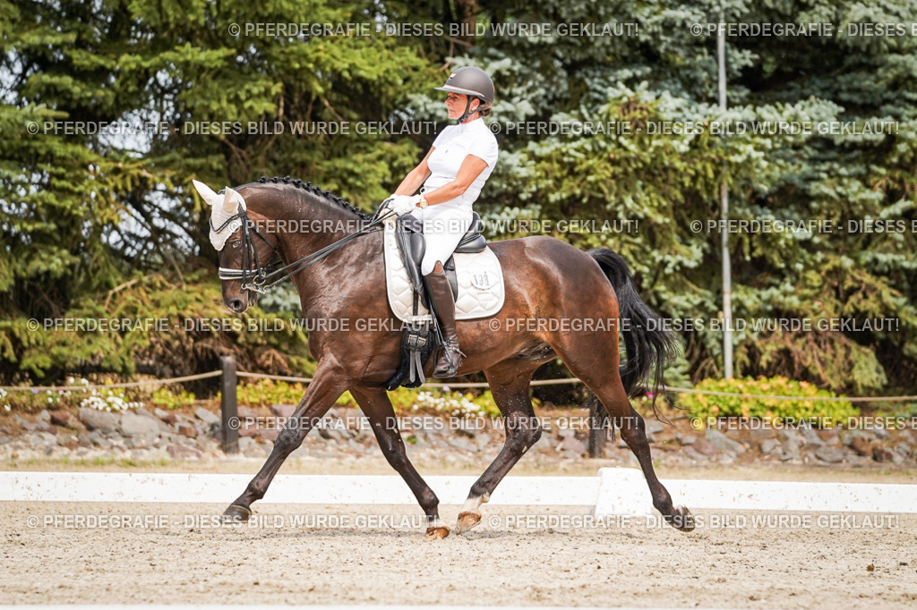 DSC06390 | Pferdegrafie