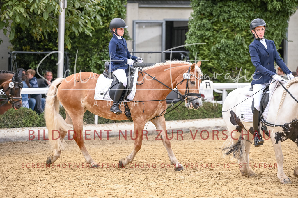 Schugtsche-Aluta25-47.ReiterWB_ST-35 | Schugtsche Fotografie - Realisiert mit Pictrs.com