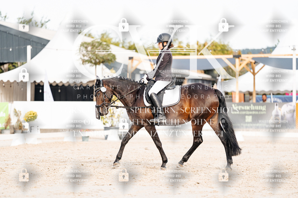 CK904599 | Turnierfotografie Pferdefotografie Trier Rheinland-Pfalz Pferdesport Reitsport Tierfotografie Sportfotografie Pferdevideo Pferdevideografie Equestrianvideography equestrianphotography  - Realisiert mit Pictrs.com