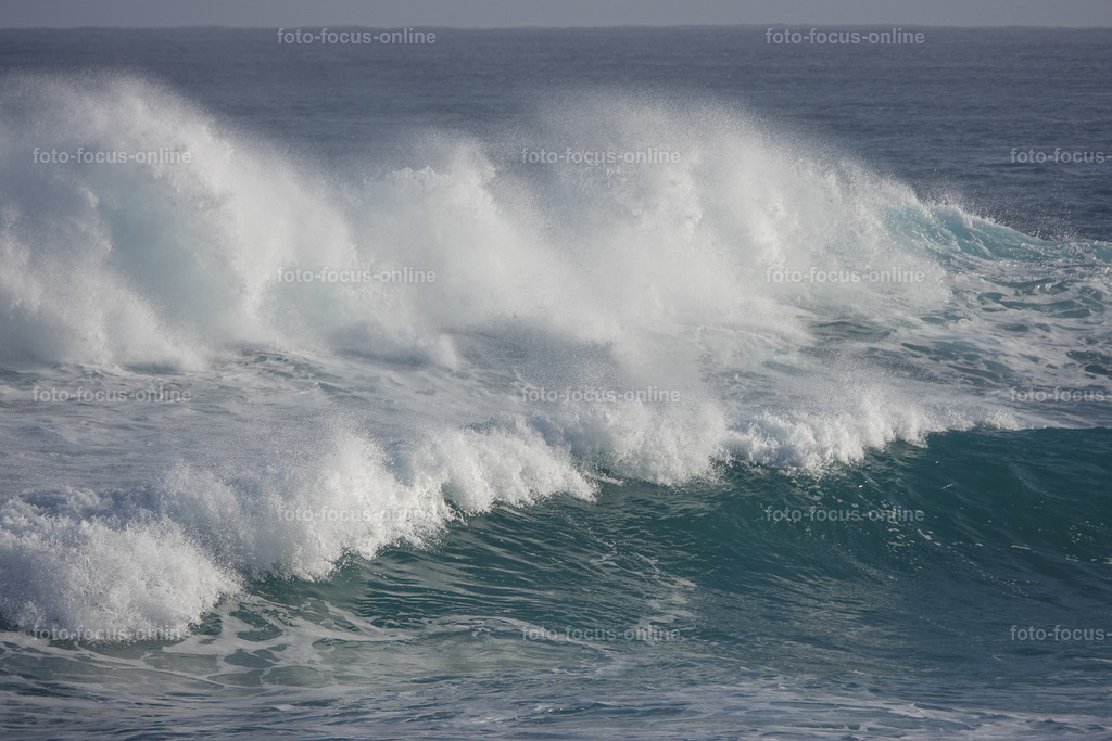 Wild Waves | Wild Waves Atlantic