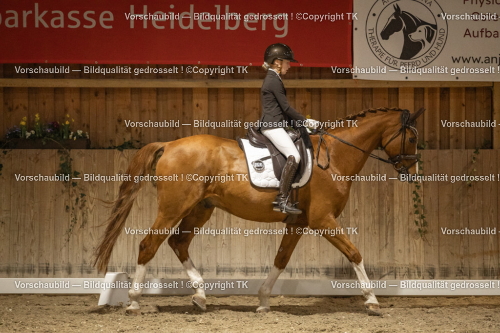 _D5A0259 | Emotionale Pferde- & People-Fotografie rund um Heidelberg, Leimen & Umgebung. Natürliche Fotos von Pferd, Mensch & Familie. Jetzt Termin sichern!