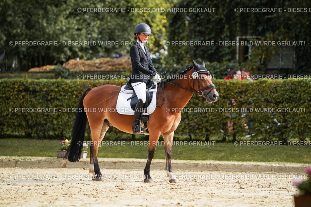 DSC04483 | Pferdegrafie