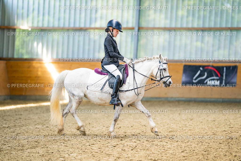 DSC03196 | Pferdegrafie