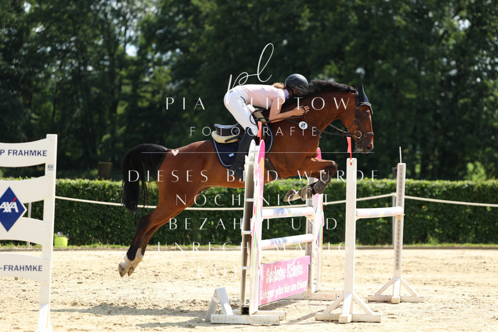 IMGM2790 | pl-fotografie