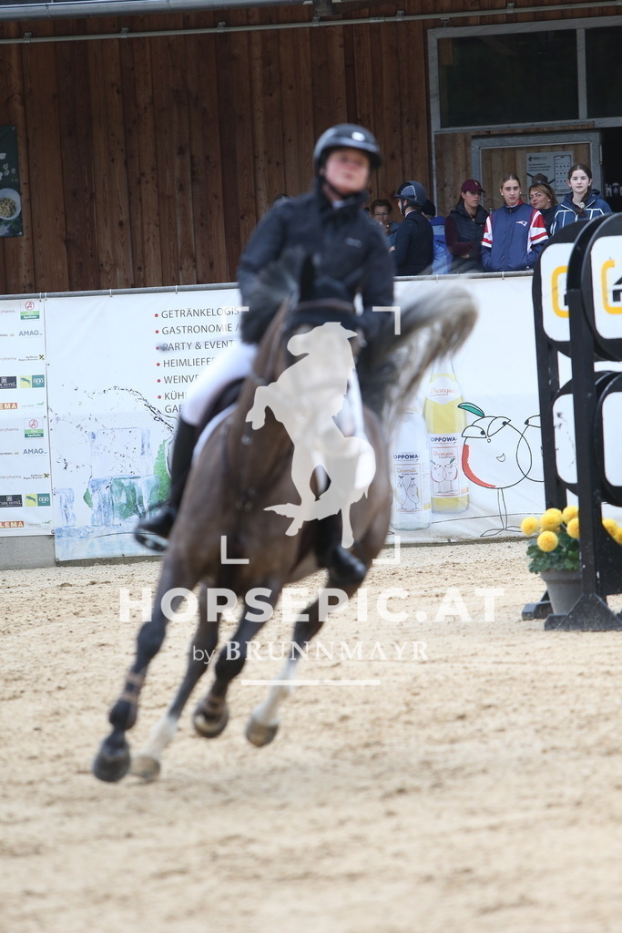 DL2Q4247 | Willkommen bei Brunnmayr - Design & Fotografie – Ihrem Spezialisten für Reitturniere und Pferdeveranstaltungen in Oberösterreich, Salzburg und Bayern! Seit über 17 Jahren sind wir leidenschaftlich dabei.