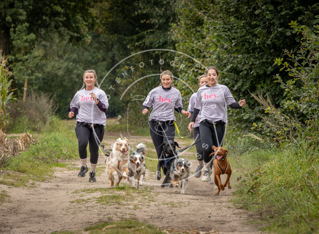 Pfotenfotografie_DV3A7102 | Hundefotografie, Tierfotograf, Pfotenfotografie, Fotoshooting Hund, Hunde Portrait, Hundesport, Hundeportraits, Heideshooting, Hunde, Sportfotograf, Hundefotograf, Turnierhundsport, THS,  - Realisiert mit Pictrs.com