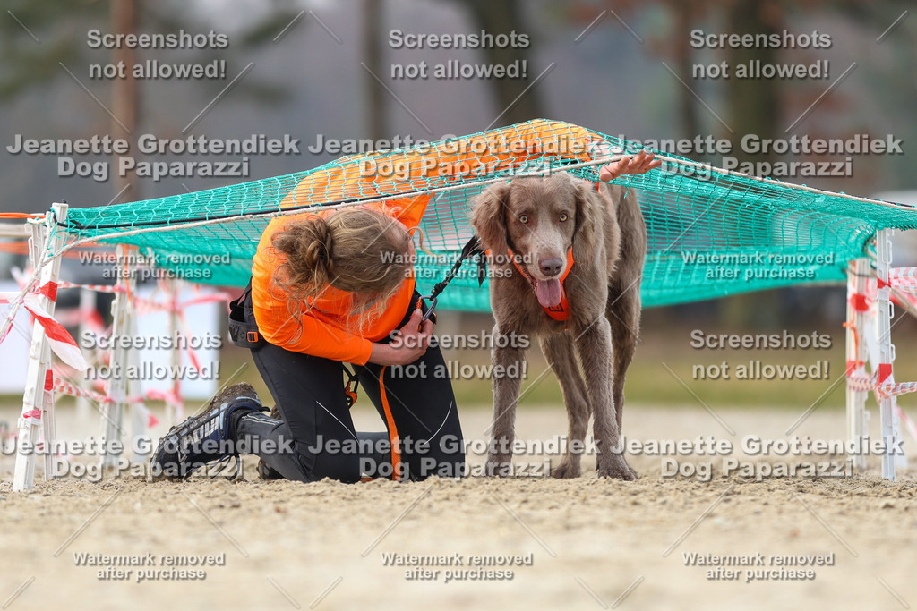 Dog Paparazzi - Strongdog North Mrz26-4247 | Dog Paparazzi Jeanette Grottendiek Fotografie & Videografie - Realisiert mit Pictrs.com