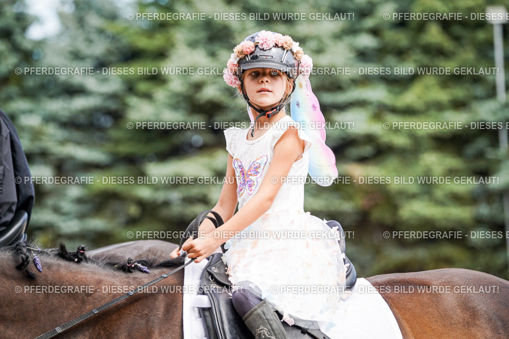 DSC03235 | Pferdegrafie