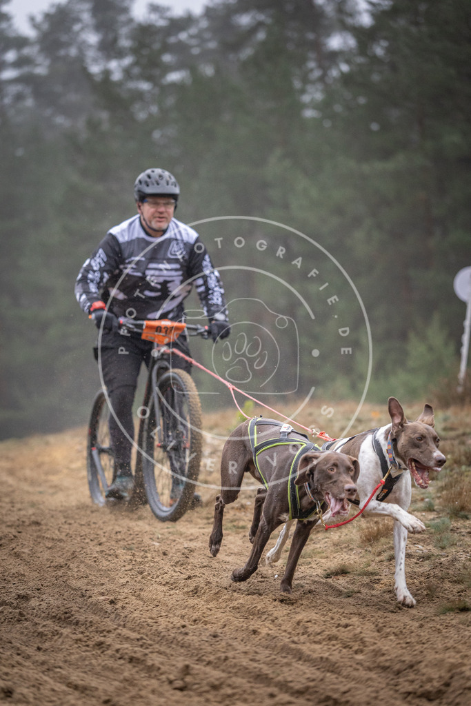 Pfotenfotografie_DV3A0855 | Hundefotografie, Tierfotograf, Pfotenfotografie, Fotoshooting Hund, Hunde Portrait, Hundesport, Hundeportraits, Heideshooting, Hunde, Sportfotograf, Hundefotograf, Turnierhundsport, THS,  - Realisiert mit Pictrs.com