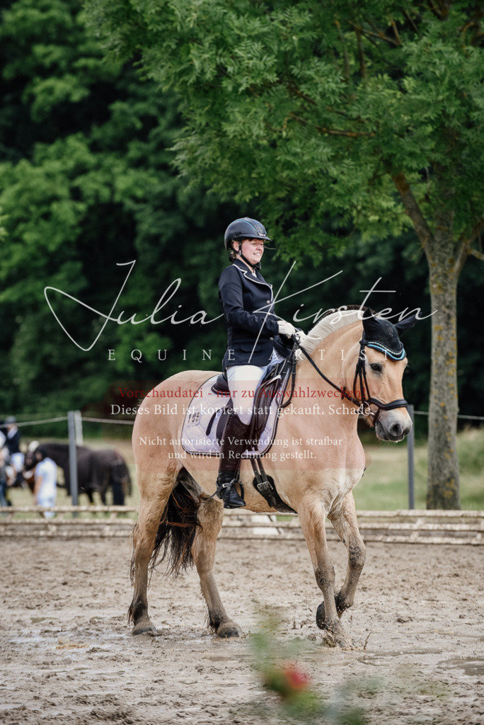 DSC_1716 | Pferde- und Turnierfotografie in Westsachsen. Pferdeportraits, Auftragszeichnungen und intuitive Kunst.