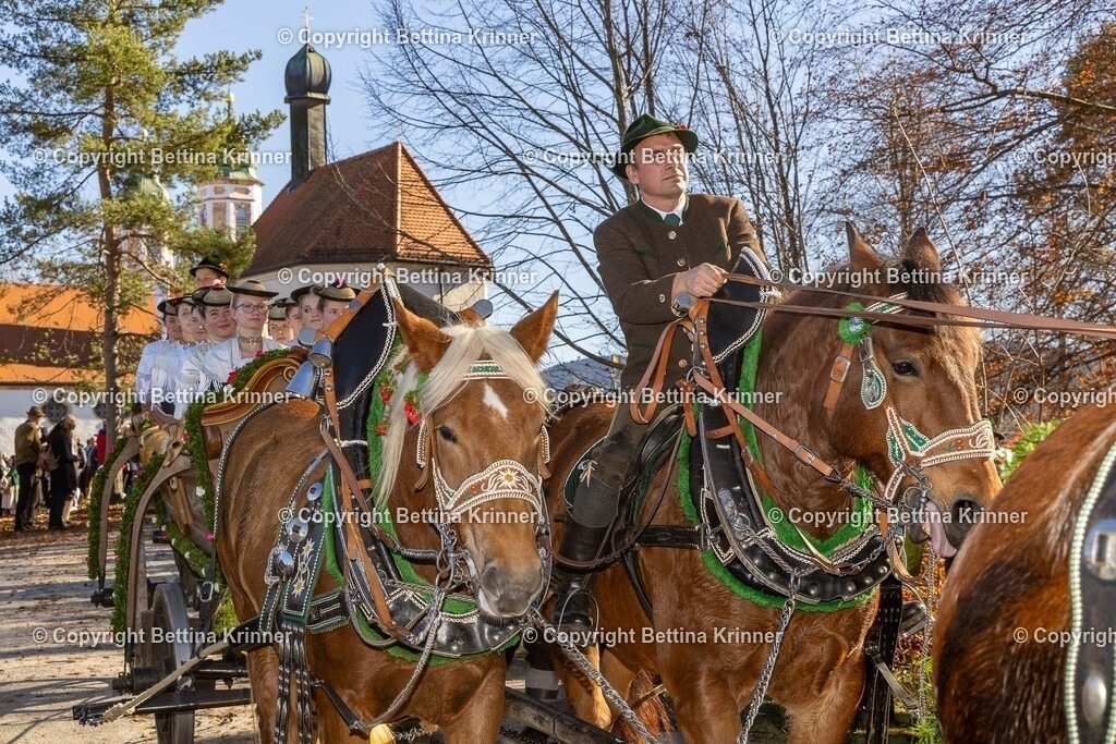LBT25-1242 | foto-bettina-krinner - Realisiert mit Pictrs.com