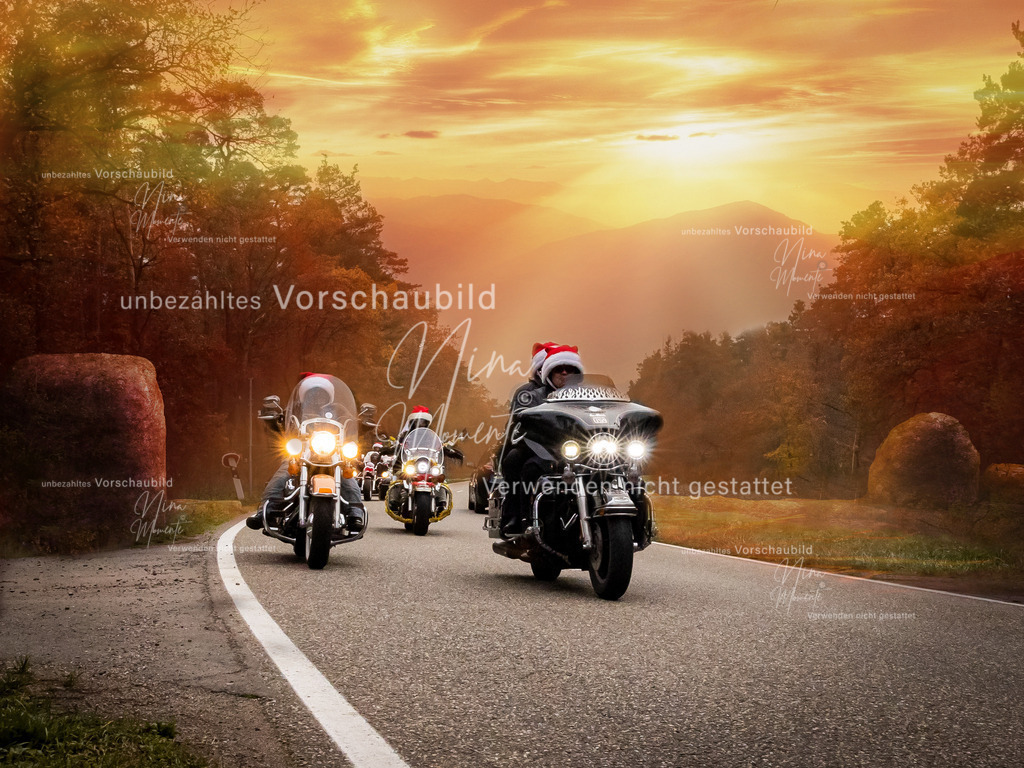 _16A2916-1 | Einzigartige Fotos von Hunden & Menschen –Actionfotos, Portraits, Vereinsaufnahmen & Paarshootings – authentisch, lebendig & mit Herz.