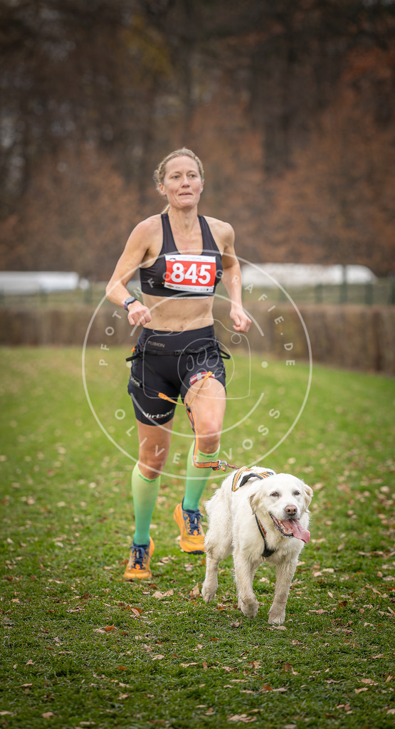 CaniXpix_DV3A6484 | Hundefotografie, Tierfotograf, Pfotenfotografie, Fotoshooting Hund, Hunde Portrait, Hundesport, Hundeportraits, Heideshooting, Hunde, Sportfotograf, Hundefotograf, Turnierhundsport, THS,  - Realisiert mit Pictrs.com
