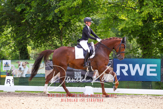 DKP41200 | Turnierfotos kaufen im Webshop von Daniel Kuhl Photography – entdecke professionelle Reitsportfotos aus Turnieren & Events. Hochwertige Turnierbilder online bestellen & sichern. Jetzt Fotos von Reitsportturnieren kaufen!
