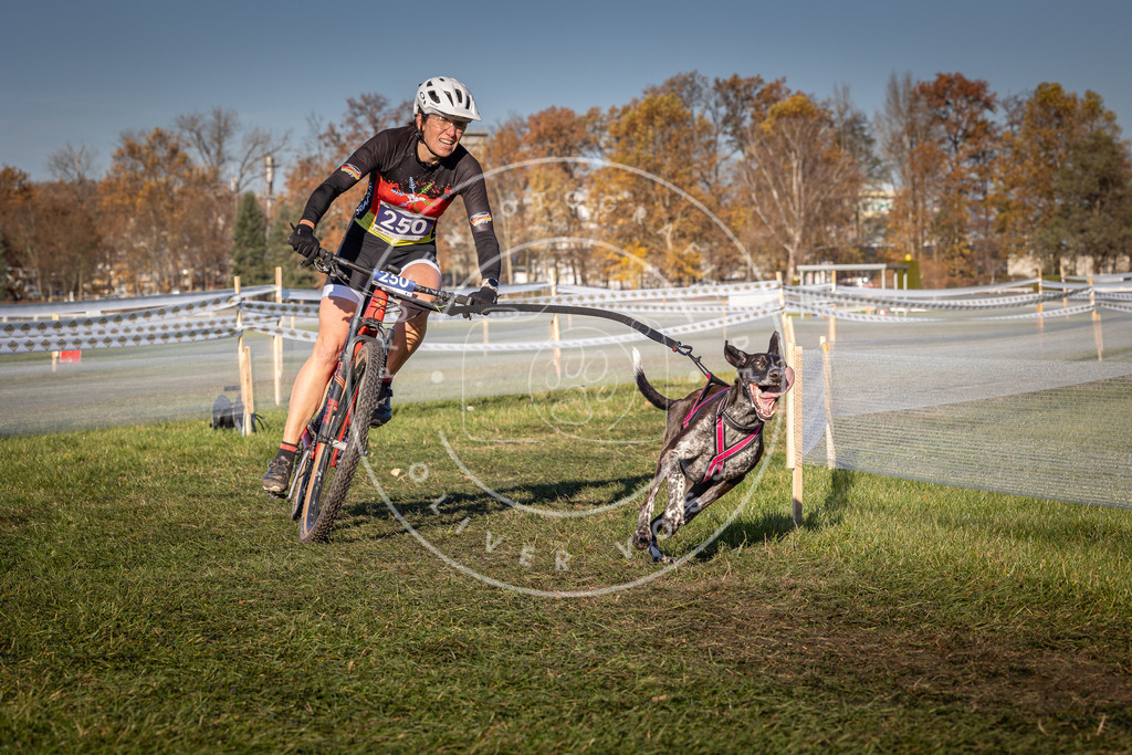 CaniXpix_0L8A4919 | Hundefotografie, Tierfotograf, Pfotenfotografie, Fotoshooting Hund, Hunde Portrait, Hundesport, Hundeportraits, Heideshooting, Hunde, Sportfotograf, Hundefotograf, Turnierhundsport, THS,  - Realisiert mit Pictrs.com