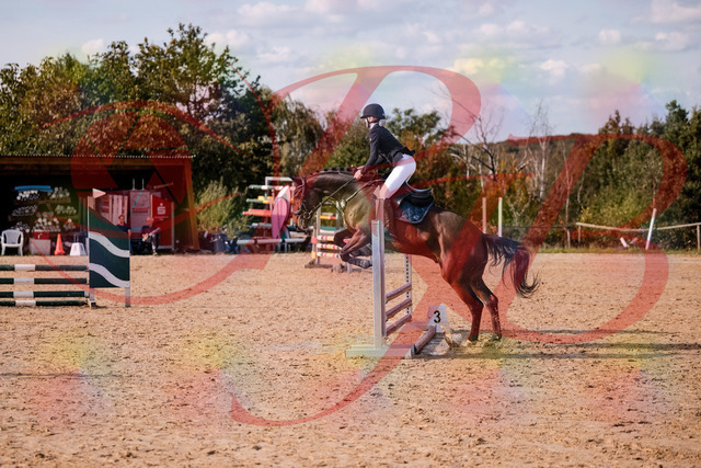 2026_10_03_Siefer-Hof_154126_Z81_57939859 | Professionelle Reitsport-, Turnier- und Eventfotografie von Robert Broda. Galerien mit ausgewählten und bearbeiteten Bildern direkt online ansehen und bestellen.