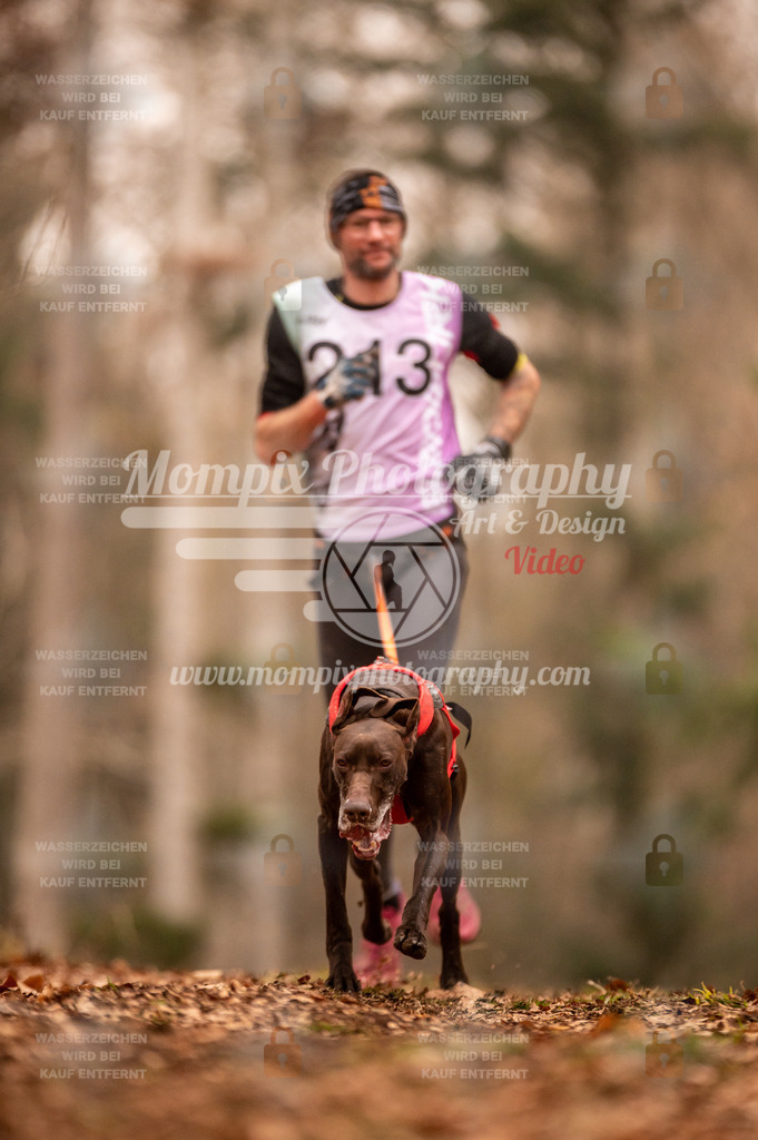 AKM_ST_2023_SAM_Run-16 | PayLife