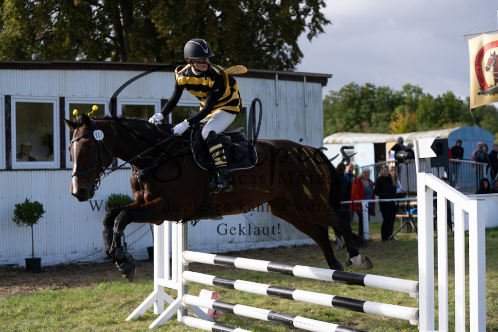 A7V06546 | Pferdefotograf