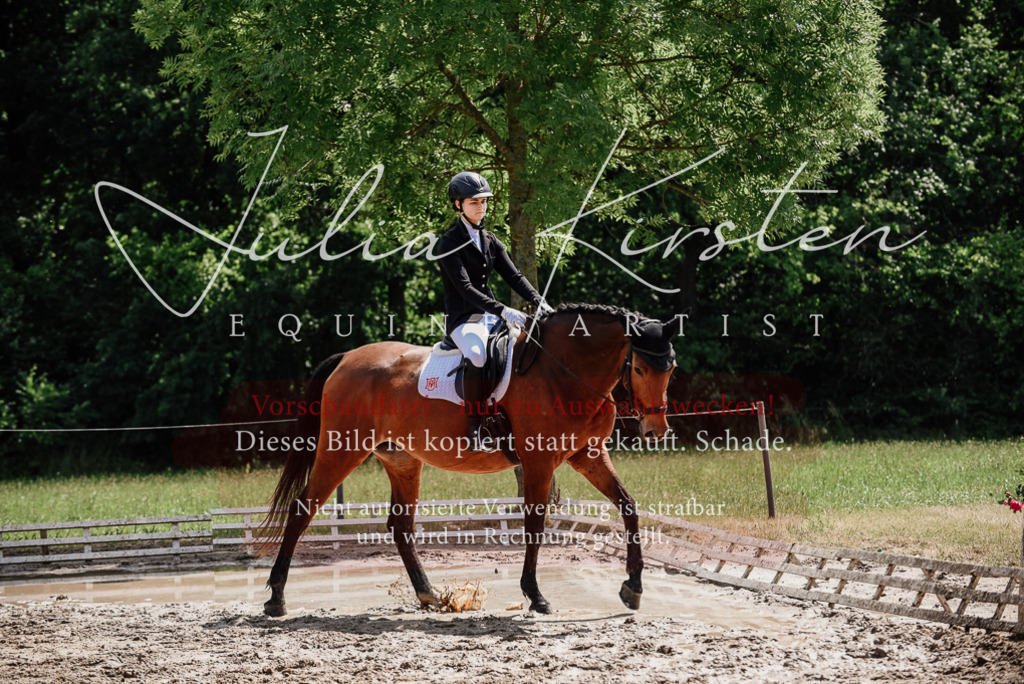 DSC_0987 | Pferde- und Turnierfotografie in Westsachsen. Pferdeportraits, Auftragszeichnungen und intuitive Kunst.