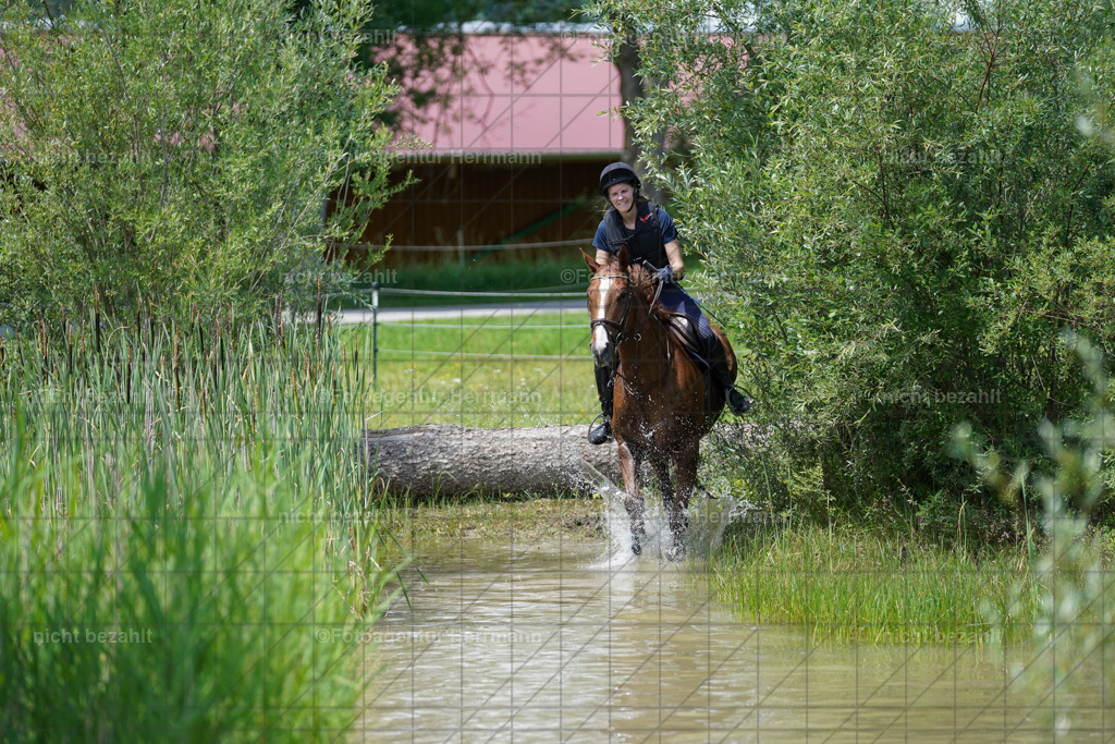 20240622-FAH07149 | Turnierfotografen Bayern, Reitsportbilder aus dem Geländekurs mit Felix Etzel auf dem Gut Waitzacker 2024