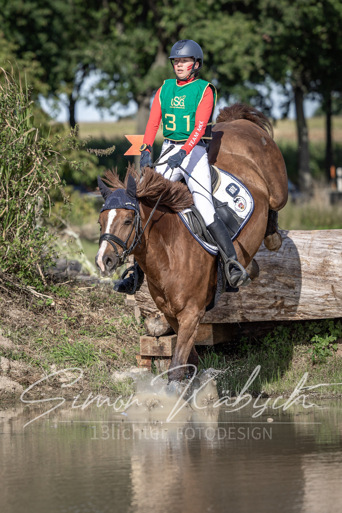 20250907-_3LI3181 | Tierfotografie Pferde, Hunde, Katzen, Haustiere.
Turnierfotografie Reitturniere, Reiten, Springreiten, Dressur in Hanau, dem Main-Kinzig-Kreis und dem Rhein-Main- Gebiet um Frankfurt