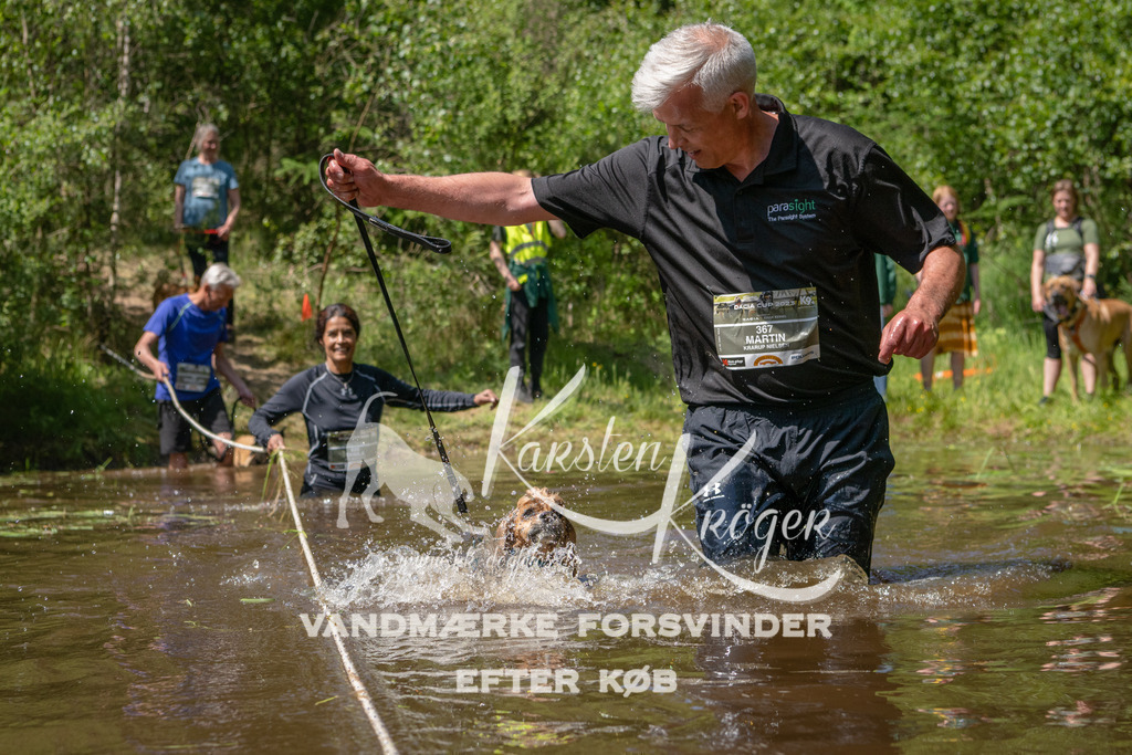 DK K991395141416 | kk-dogfotos