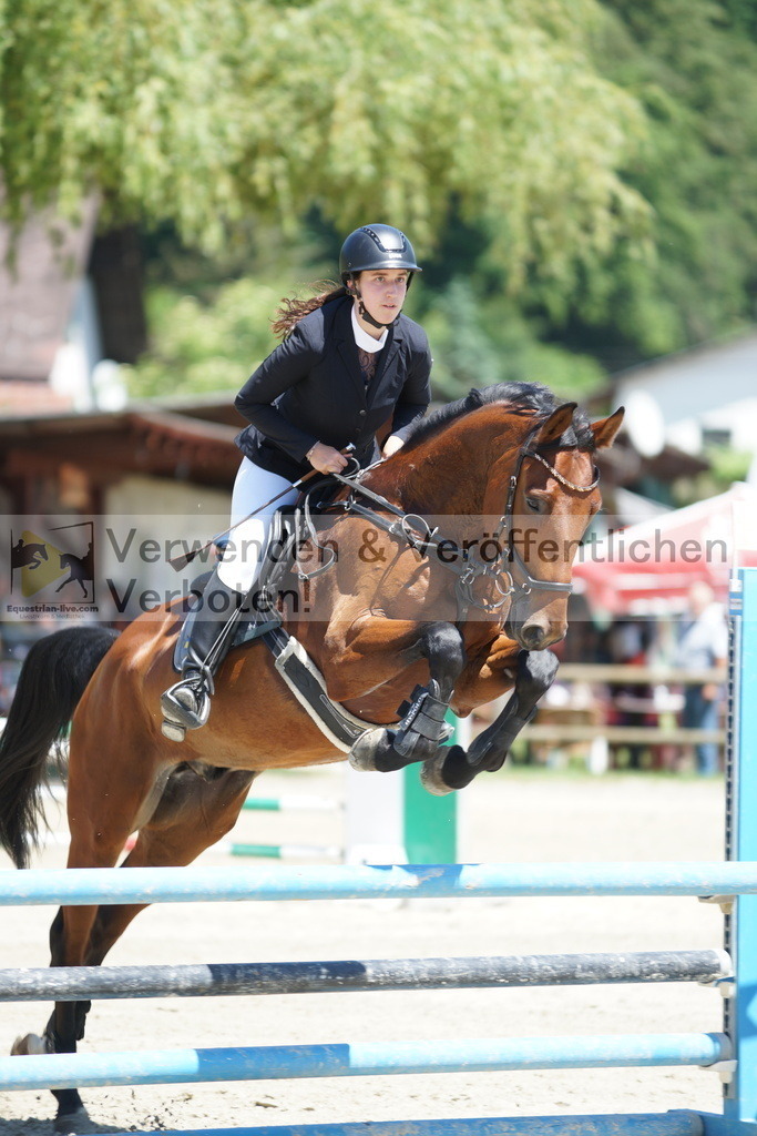 DSC09231 | equestrian-live-com
