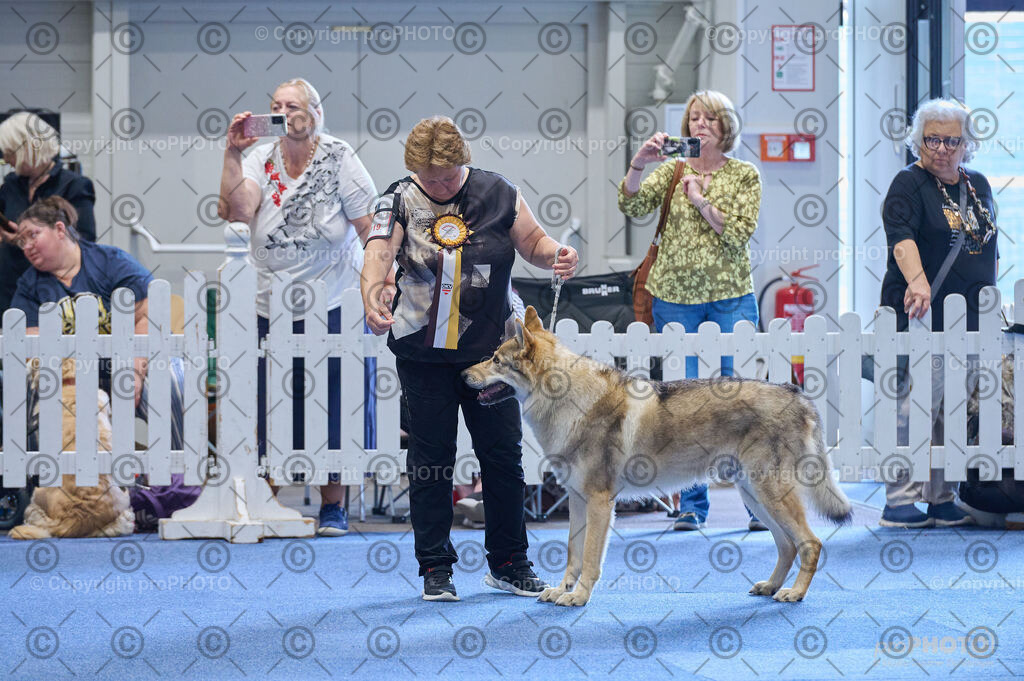 202406_ÖKV-IHA-Tulln24_DSC_4842 | proPHOTO - Realisiert mit Pictrs.com