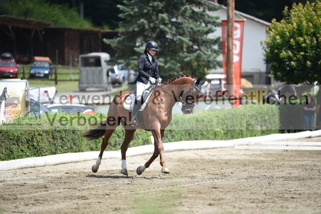 DSC_9484 | equestrian-live-com