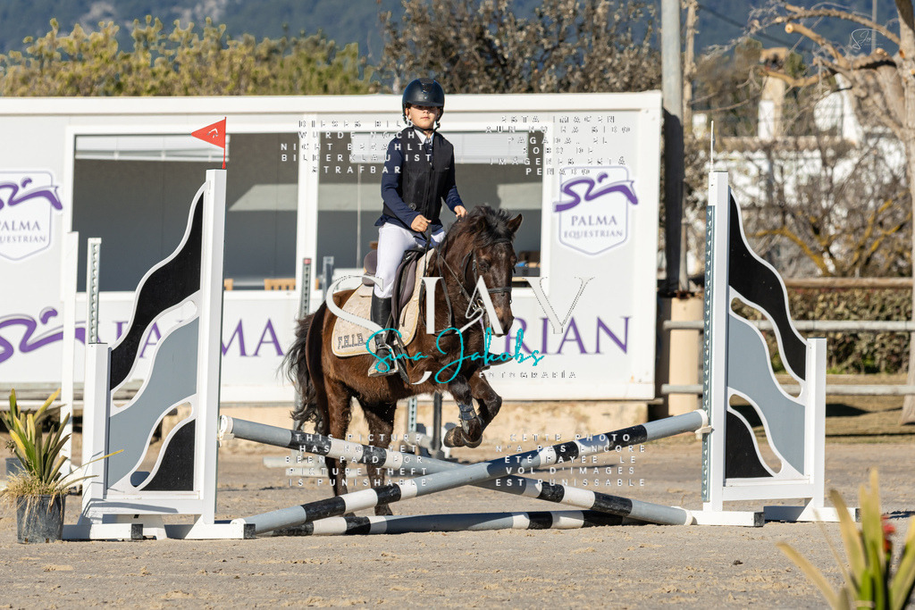 IMG_7788 | s-jay-photography - Realisiert mit Pictrs.com