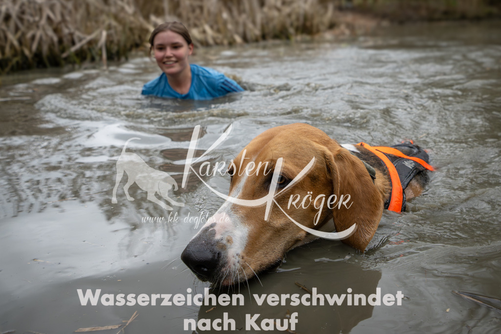 1236_ZZ98741 | kk-dogfotos