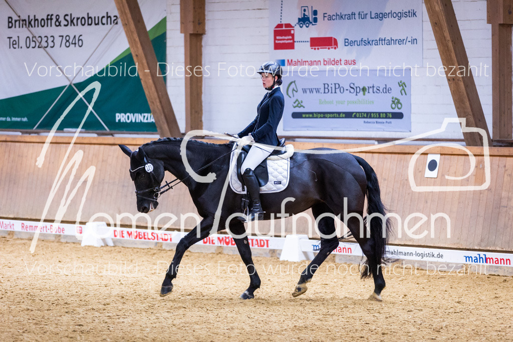 Sth-A-Dre-2St-126 | MomenTaufnahmen Pferdesportfotos