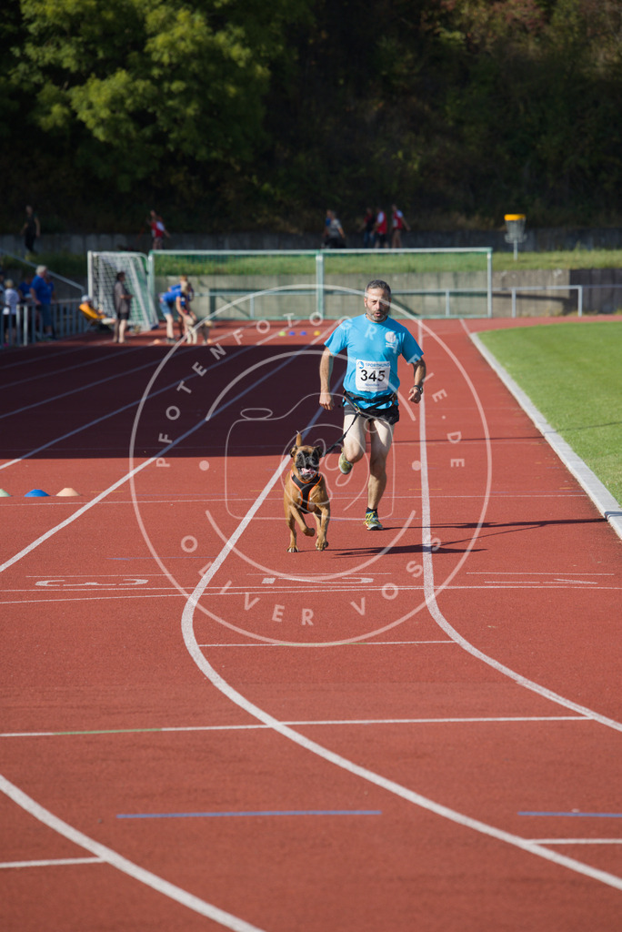 0L8A9098 | Hundefotografie, Tierfotograf, Pfotenfotografie, Fotoshooting Hund, Hunde Portrait, Hundesport, Hundeportraits, Heideshooting, Hunde, Sportfotograf, Hundefotograf, Turnierhundsport, THS,  - Realisiert mit Pictrs.com