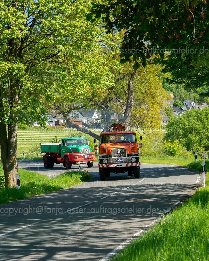 401 402  Zwei Oldtimer LKW Krupp Widder L 60.2 W 3 und Krupp Tiger S 100 T g 5  während der Oldtimer Sauerland Rundfahrt | Brilon, Deutschland - 10. Mai 2025: Firma Witteler veranstaltet die Oldtimer Sauerlandrundfahrt (OSR). In Gevelinghausen wurde auf der Landstraße zwei Oldtimer LKW - ein Krupp Widder L  60.2 W 3 aus dem Jahr 1960 und ein Krupp Tiger S 100 T g 5 aus dem Jahr 1960 - fotografiert.