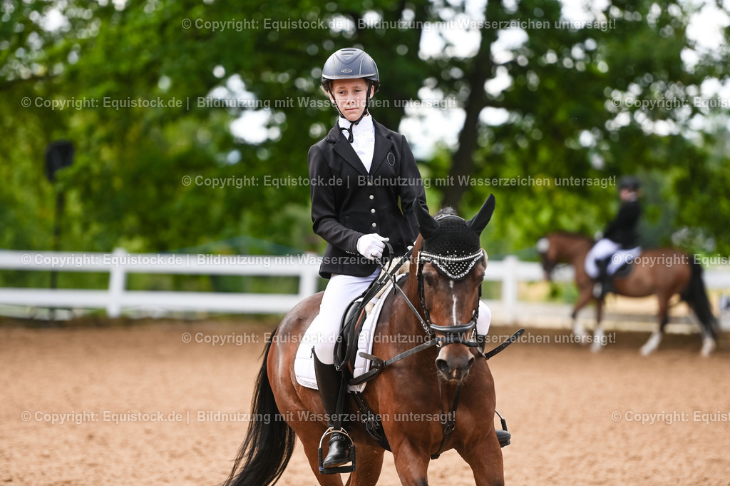 20230716_10-2_Reiter-WB Schritt - Trab - Galopp_0110 | equistock