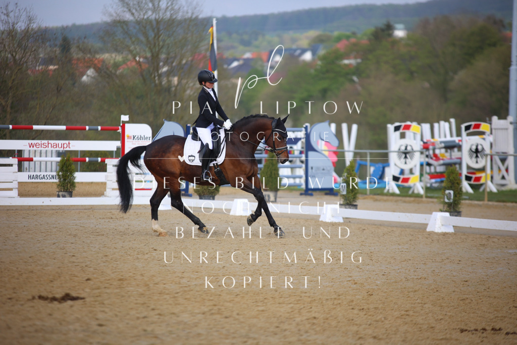 IMGT8815 | pl-fotografie