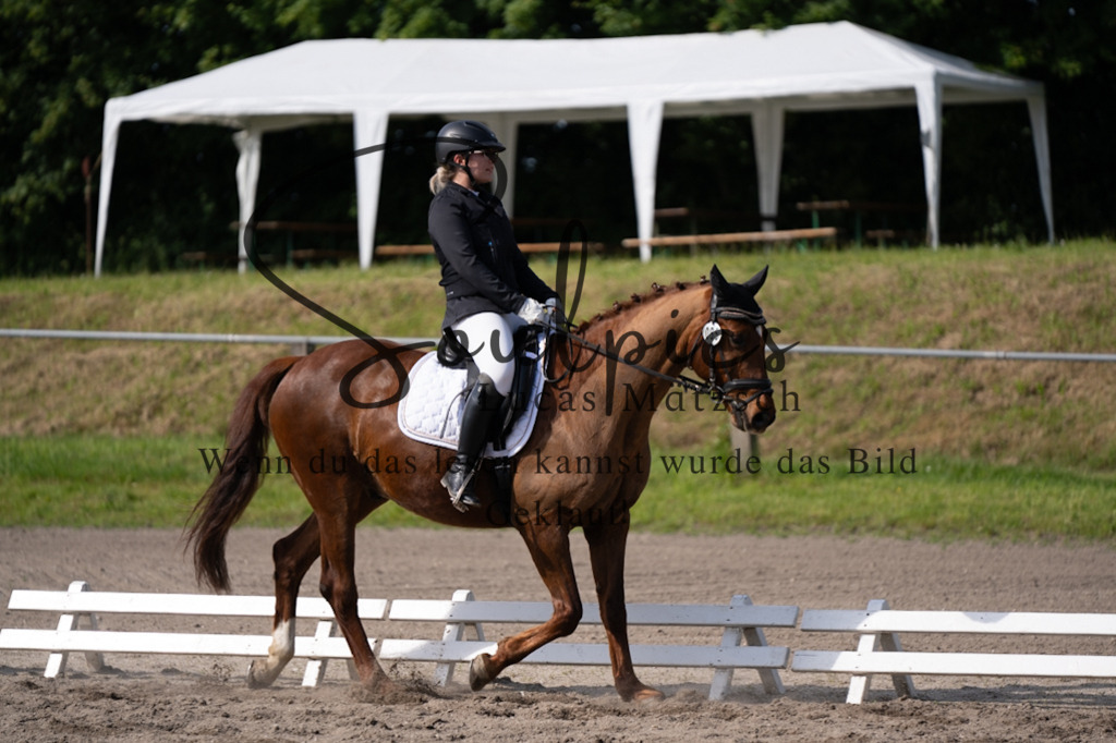 A7V02440 | Pferdefotograf