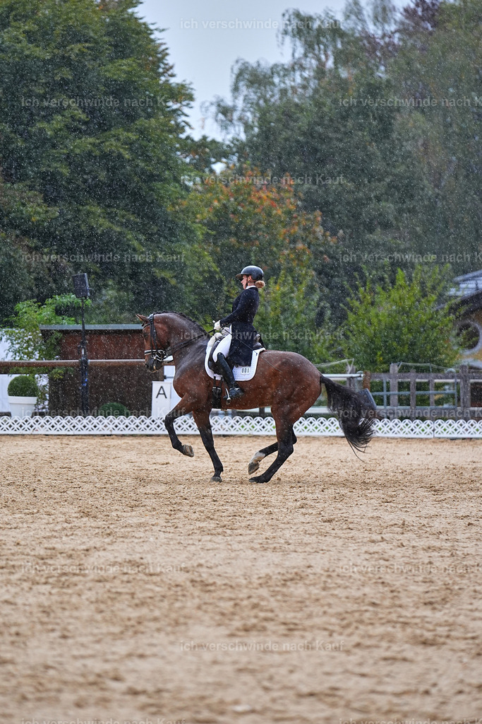 8_1-001-Klasse S_  -Marixx-4333 | working equitationturnier fotograf videograf stoibphotography marixx film working equitation deutschland reitsport turnierfotografie eventfotografie equestrian events