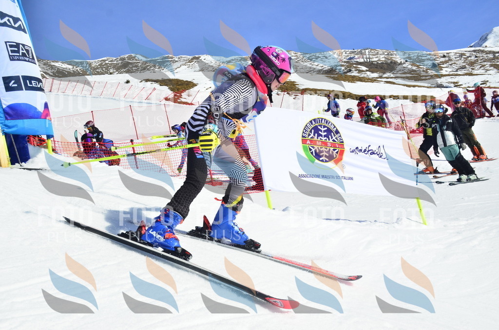 _ELE9940 | holidayphoto