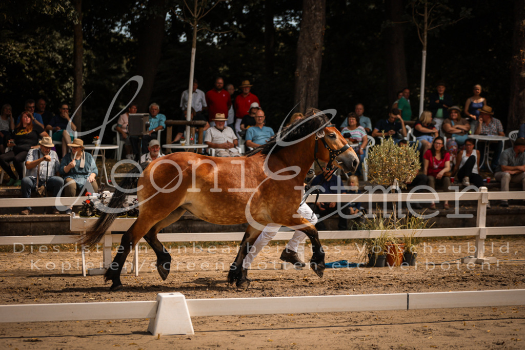 2.Sa00019 | Leoni Ertmer Photography - Realisiert mit Pictrs.com