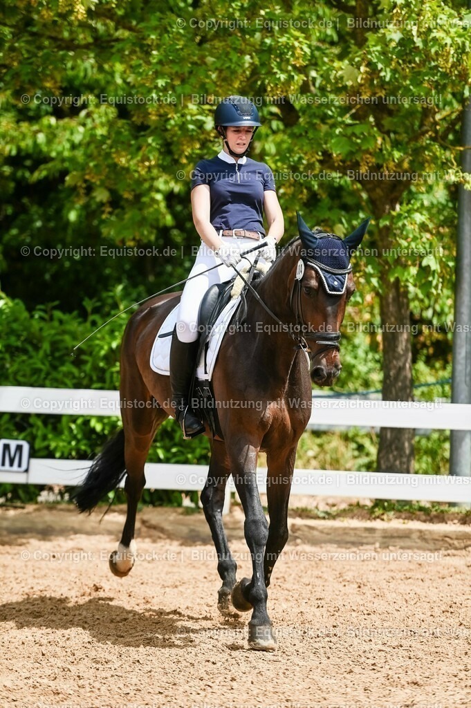 20230715_05_Dressurprüfung Kl.A++_0198 | equistock