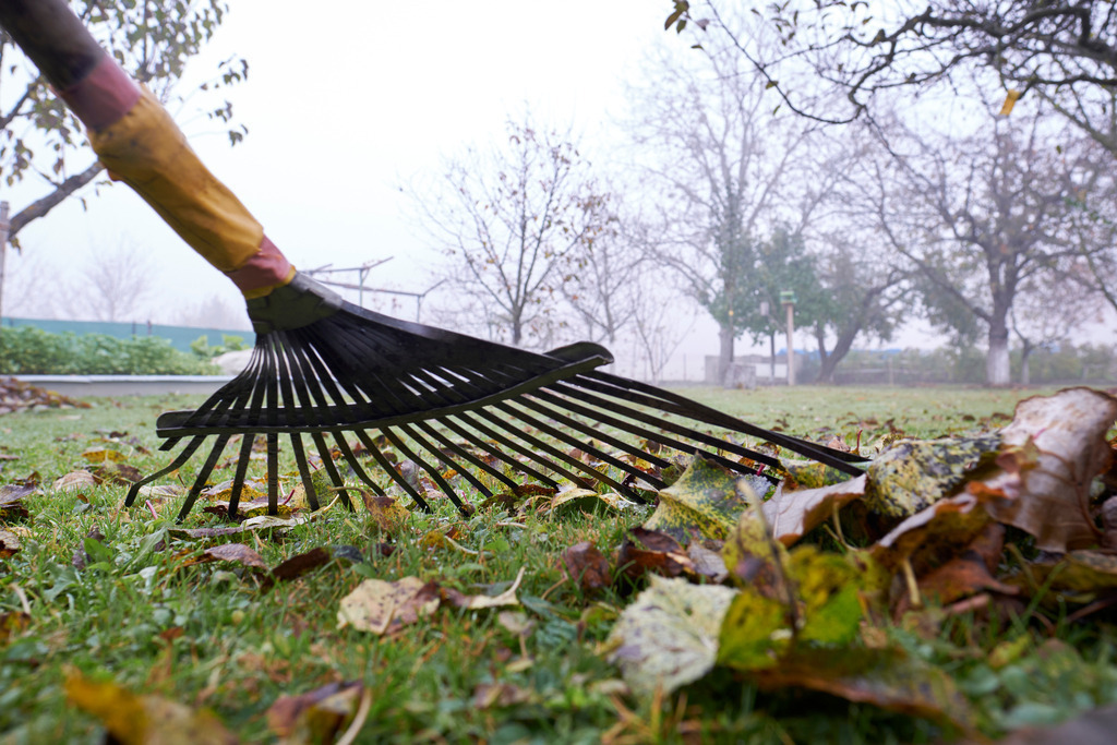 Laubrechen mit Laub in der Wiese | Austria - October 31, 2021: Laubrechen mit Laub in der Wiese. - Realisiert mit Pictrs.com