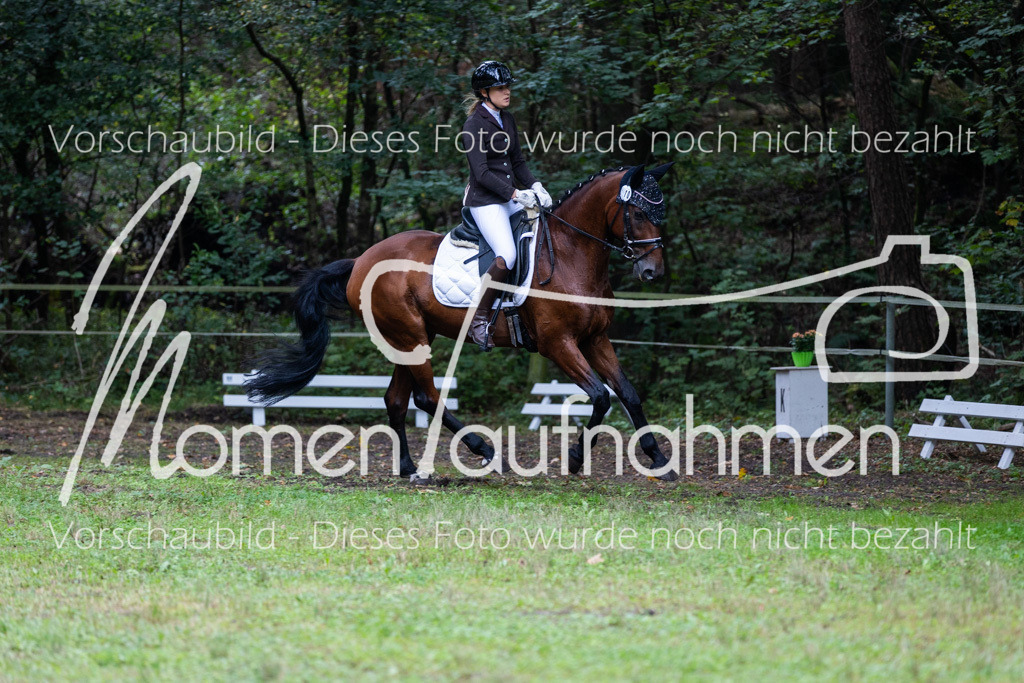 HB-A-Dressur-028 | MomenTaufnahmen Pferdesportfotos