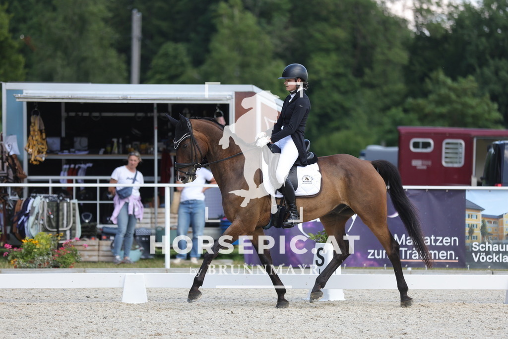 0P6A1615 | Willkommen bei Brunnmayr - Design & Fotografie – Ihrem Spezialisten für Reitturniere und Pferdeveranstaltungen in Oberösterreich, Salzburg und Bayern! Seit über 17 Jahren sind wir leidenschaftlich dabei.